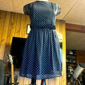 Zara polka dot chiffon dress 👗. Color is navy blue and cute buttons in the back